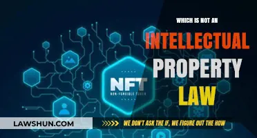 Understanding Intellectual Property: Identifying What’s Not Protected by Law