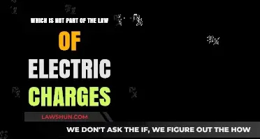 Understanding Electric Charge Laws: What Doesn't Belong in the Equation?