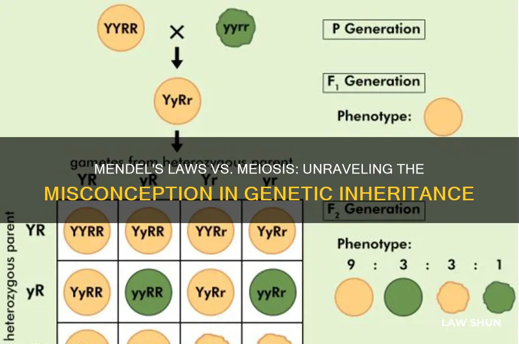which is not true according to mendel