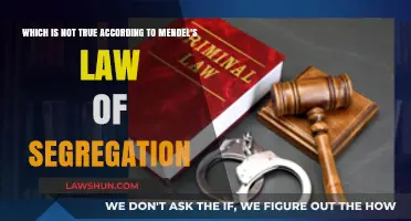 Mendel's Law of Segregation: Debunking a Common Misconception