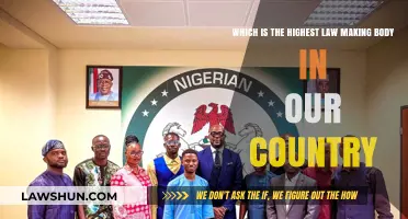 Understanding the Supreme Law-Making Authority in Our Nation