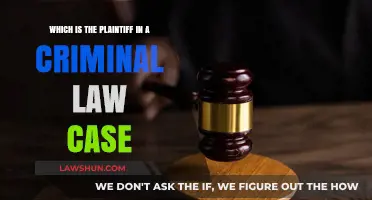 Who is the Plaintiff in Criminal Cases?