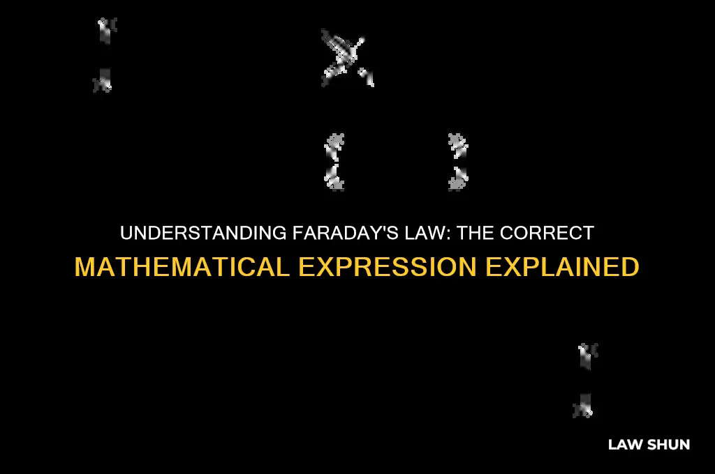 which is the proper mathematical expression of faraday