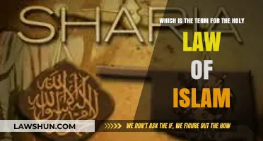 Understanding Sharia: The Sacred Islamic Law and Its Significance