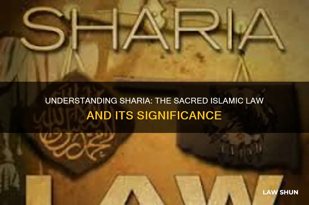 which is the term for the holy law of islam