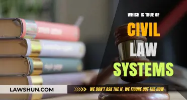 Understanding Civil Law Systems: Key Characteristics and Global Influence