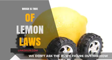 Understanding Lemon Laws: What's True About Vehicle Protection Rights