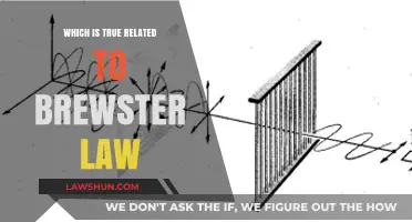 Understanding Brewster's Law: Polarization, Refraction, and Angle Explained