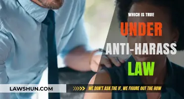 Understanding Anti-Harassment Laws: Key Protections and Legal Truths Explained