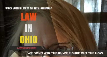 Ohio Judge Blocks Fetal Heartbeat Law: Who Made the Decision?