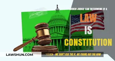 Judicial Review: Who Decides a Law's Fate?