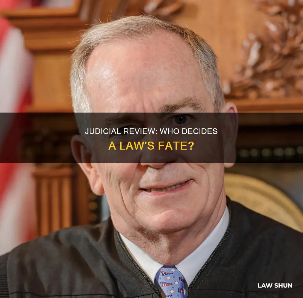 which judge can determine if a law is constitutional