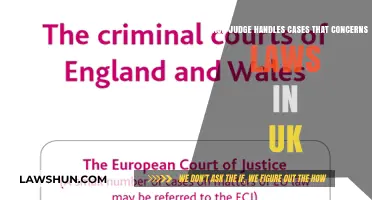 Judges and the Law: Who Decides?