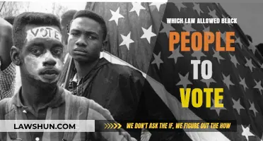 The Voting Rights Act: Empowering Black Americans to Vote