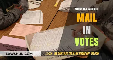 The Law That Enabled Mail-In Voting: A Comprehensive Overview