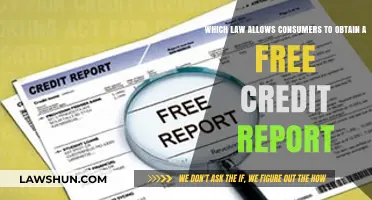 Understanding the Law for Free Annual Credit Reports: A Consumer Guide