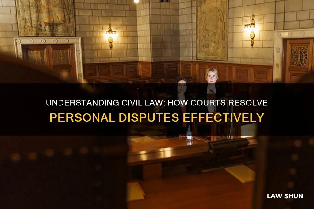 which law and courts settle disputes between people