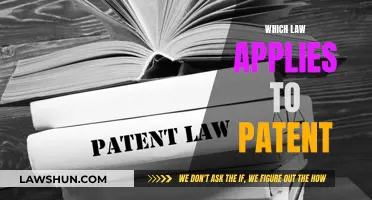 Patent Law: Understanding the Applicable Legal Framework