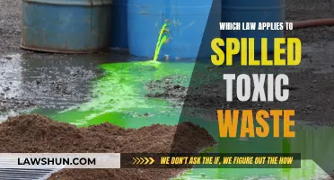 Toxic Waste and Legal Liability: Which Law Applies?