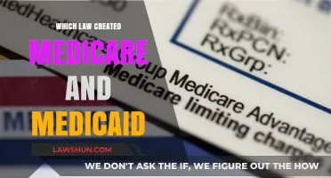 The History of Medicare and Medicaid: Understanding Their Origins