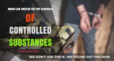 Controlled Substances Act: Five Schedules Explained