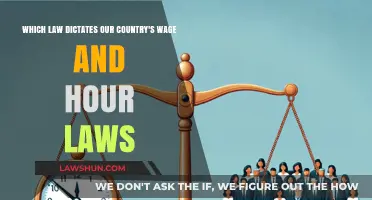 Understanding the Legal Framework Behind Wage and Hour Laws in Our Country