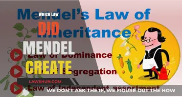 Mendel's Laws: The Foundation of Modern Genetics