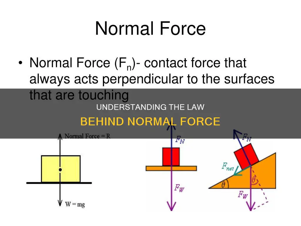 which law does normal force apply to