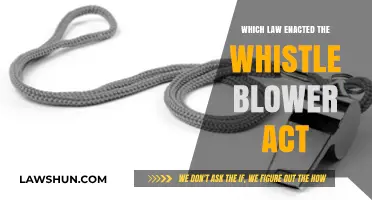 Whistleblower Protection: The Law Behind the Act Explained