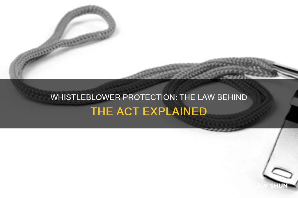 which law enacted the whistle blower act
