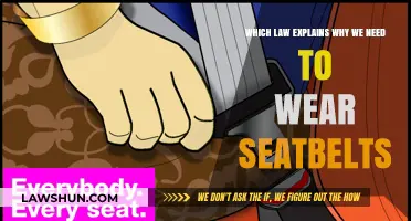 Buckle Up: The Science and Law Behind Seatbelt Safety Explained