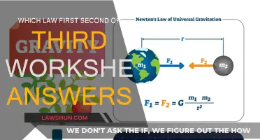 Laws of Motion: Worksheet Answers Explained