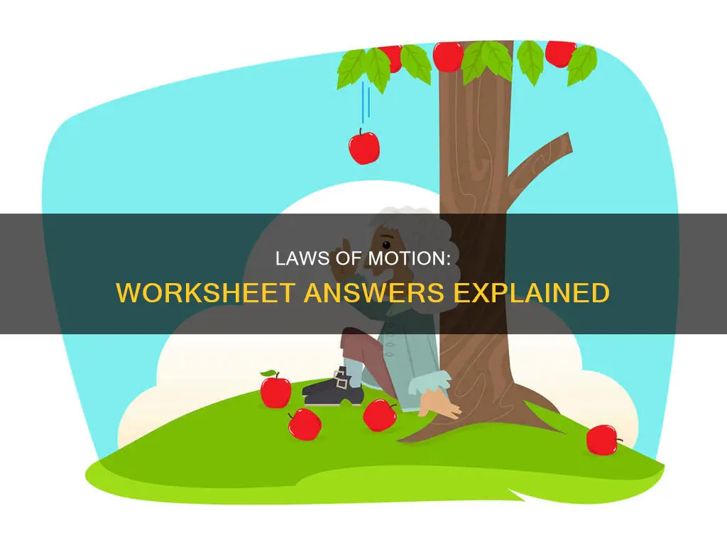 which law first second or third worksheet answers