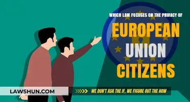 EU Data Protection: Safeguarding European Citizens' Privacy Rights
