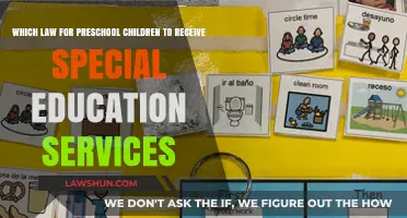 Understanding Preschool Special Education: Legal Rights and Services Explained