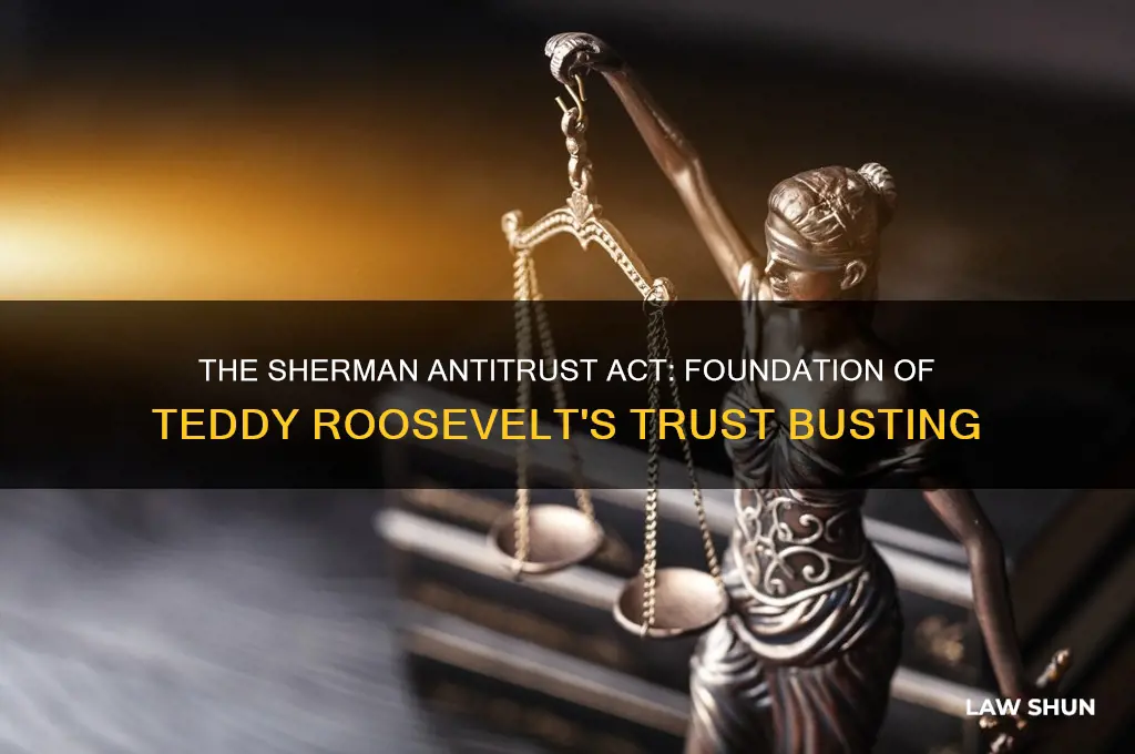 which law formed the basis for teddy roosevelts trust busting