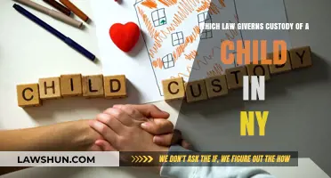 Understanding NY Child Custody Laws: Key Legal Frameworks Explained