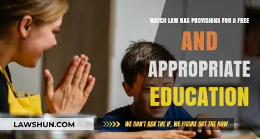 Ensuring Equal Access: The Law Guaranteeing Free and Appropriate Education