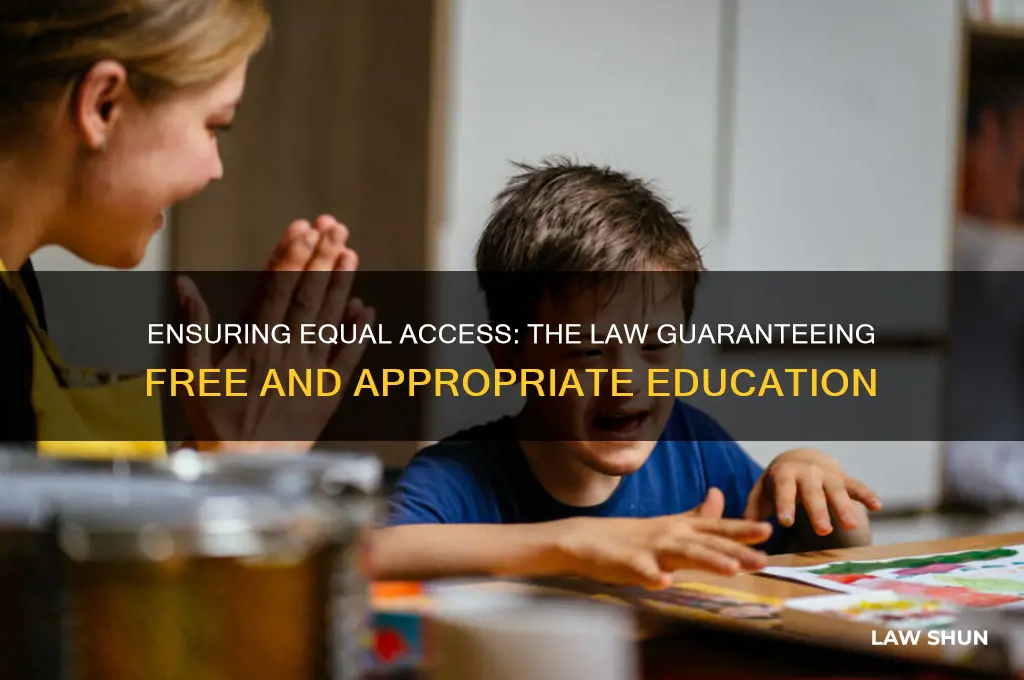 which law has provisions for a free and appropriate education