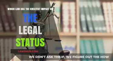 The Legal Framework: Which Law Shapes Status Most Significantly?