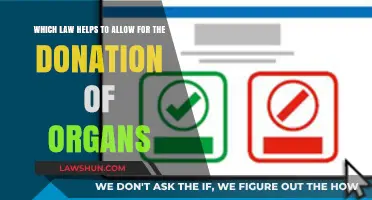 Organ Donation Laws: Understanding Legal Frameworks for Life-Saving Gifts