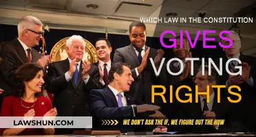 The Right to Vote: Constitutional Law