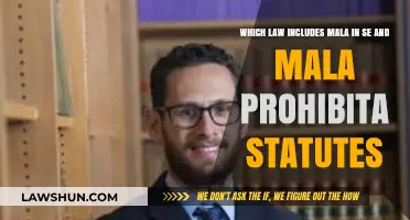 Understanding Mala in Se and Mala Prohibita: The Legal Framework