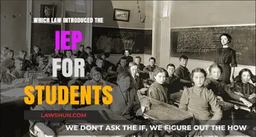 The Landmark Legislation Behind IEPs: A Historical Overview