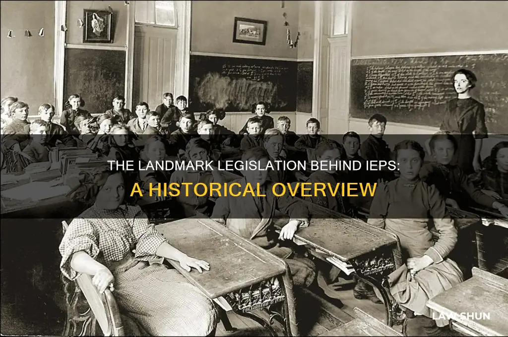 which law introduced the iep for students