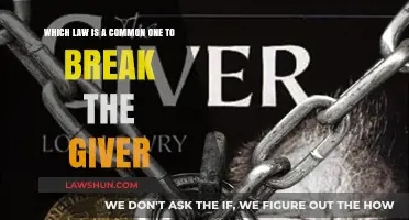 Breaking Laws in The Giver: Exploring Common Offenses