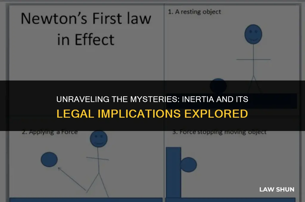 which law is associated with inertia