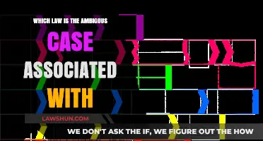 The Law's Ambiguity: A Case Study