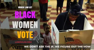 The 19th Amendment and Voting Rights for Black Women