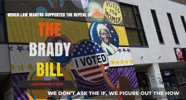 Key Lawmakers Who Backed the Repeal of the Brady Bill